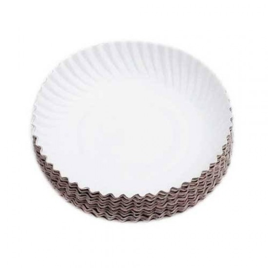 Tiffin plates ( 19 pack )